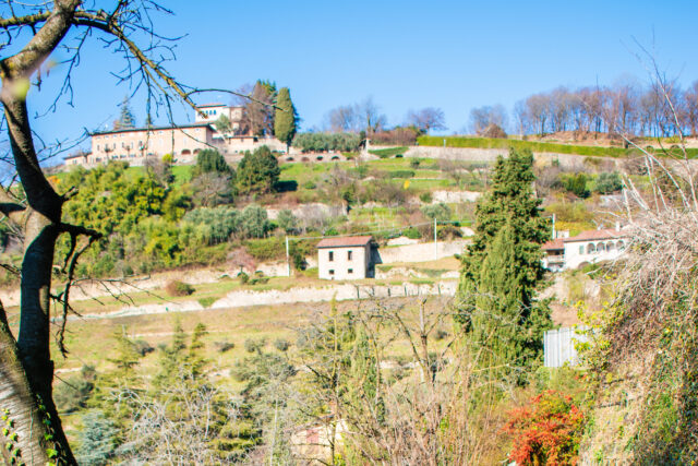 Immagine Photogallery Giardino-12-aspect-ratio-1920-1280