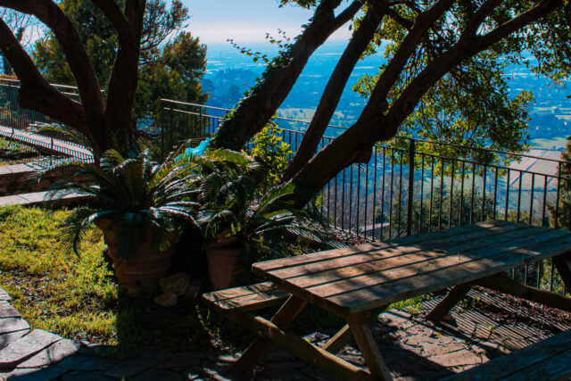 Immagine Photogallery Giardino-3-aspect-ratio-1920-1280