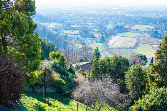 Immagine Photogallery Giardino-9-aspect-ratio-1920-1280