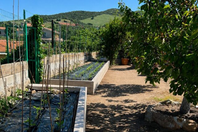 Immagine Photogallery Giardino2-1-aspect-ratio-1920-1280