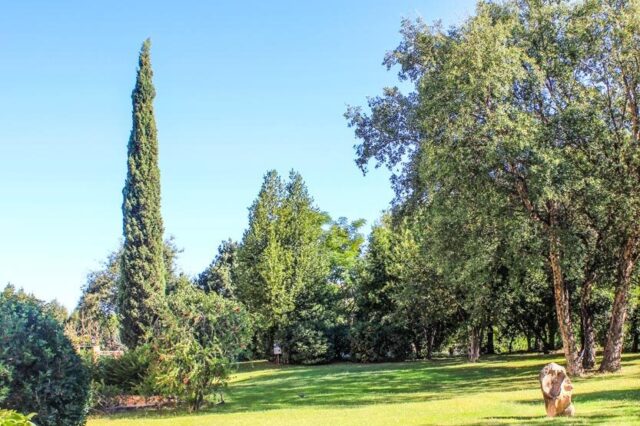 Immagine Photogallery esterni-giardino2-aspect-ratio-1920-1280