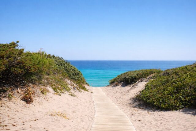 Immagine Photogallery Ingresso spiaggia (1)