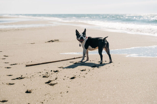 Immagine Photogallery gabriella-clare-marino-TO4AEY1UoWk-unsplash-1024x683