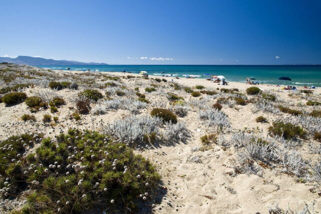 Immagine Photogallery spiaggia-poltu-biancu-31-aspect-ratio-1920-1280