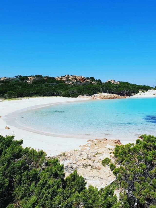 spiaggia-rosa-aspect-ratio-1440-1920